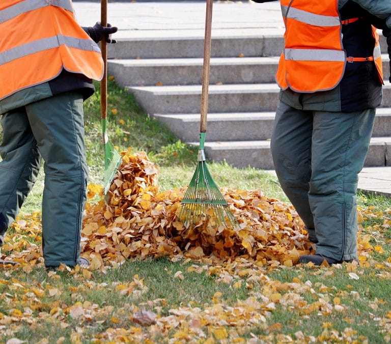 Commercial Fall Clean Up Gallery 1