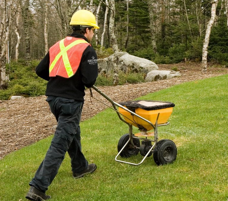 Commercial Fall Clean Up Gallery 2