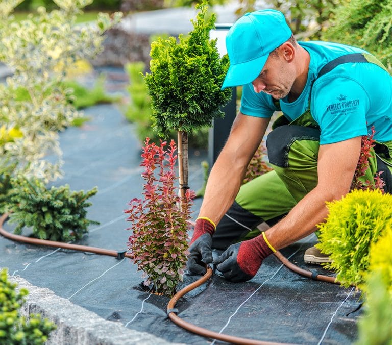 Commercial Irrigation Installation And Maintenance Gallery 1