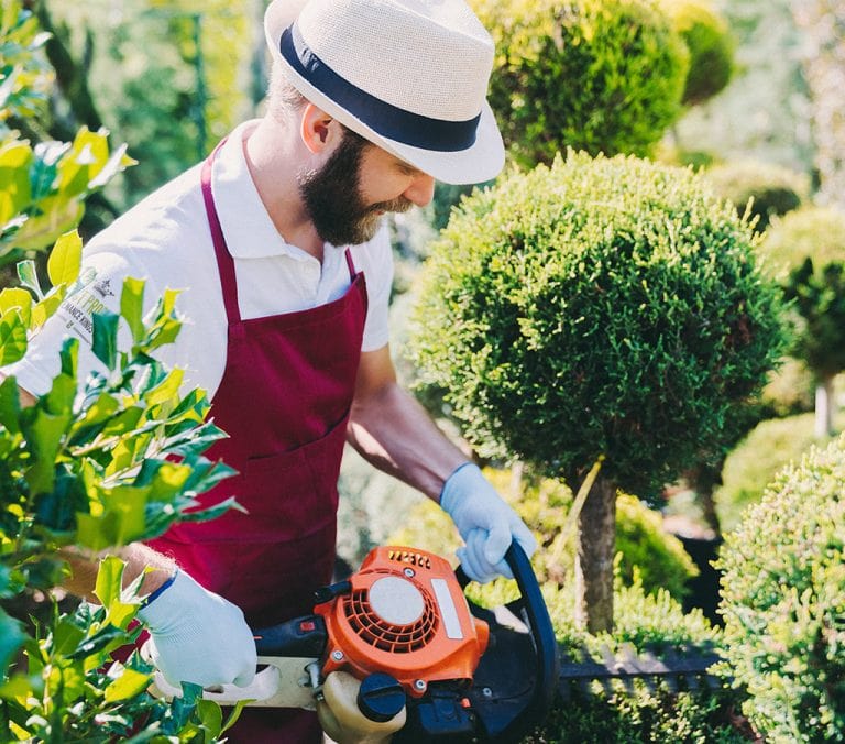 Commercial Tree And Shrub Maintenance Gallery 1