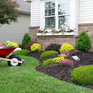 Perfect Property Maintenance Kings Photo (7)