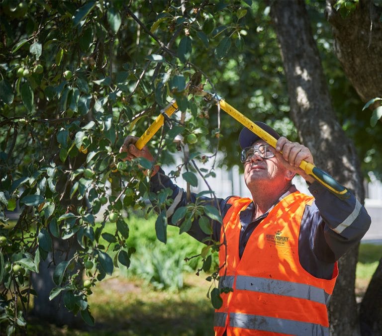 Residential Property Maintenance Perfect Property Maintenance Kings Inc.